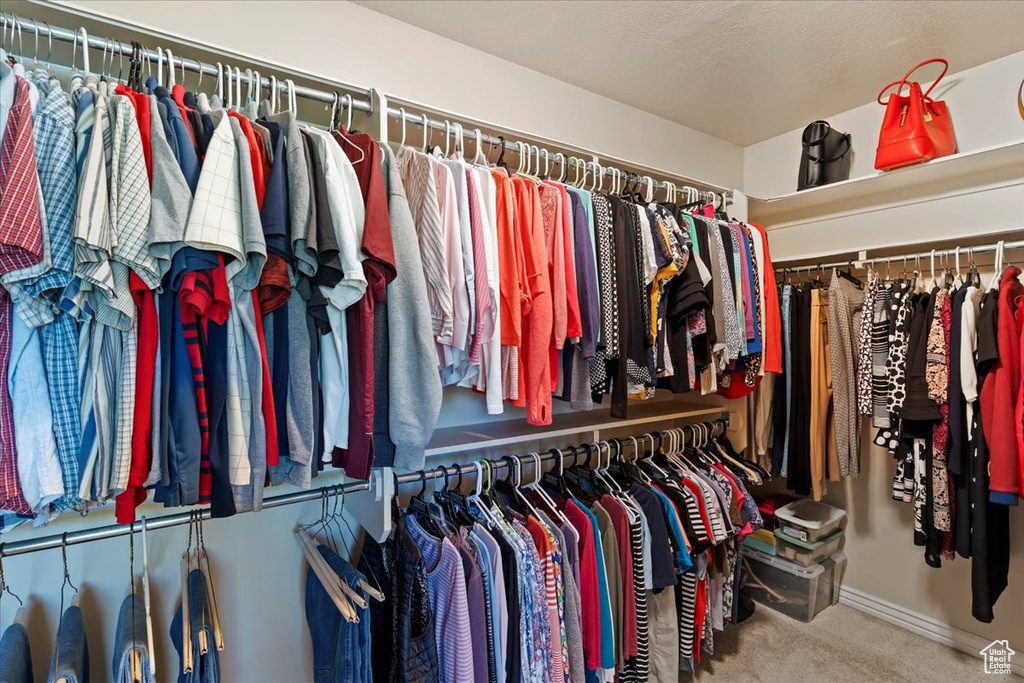 Spacious closet featuring carpet