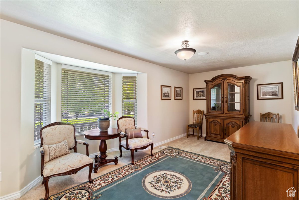 Living area with light carpet, a textured ceiling, and baseboards