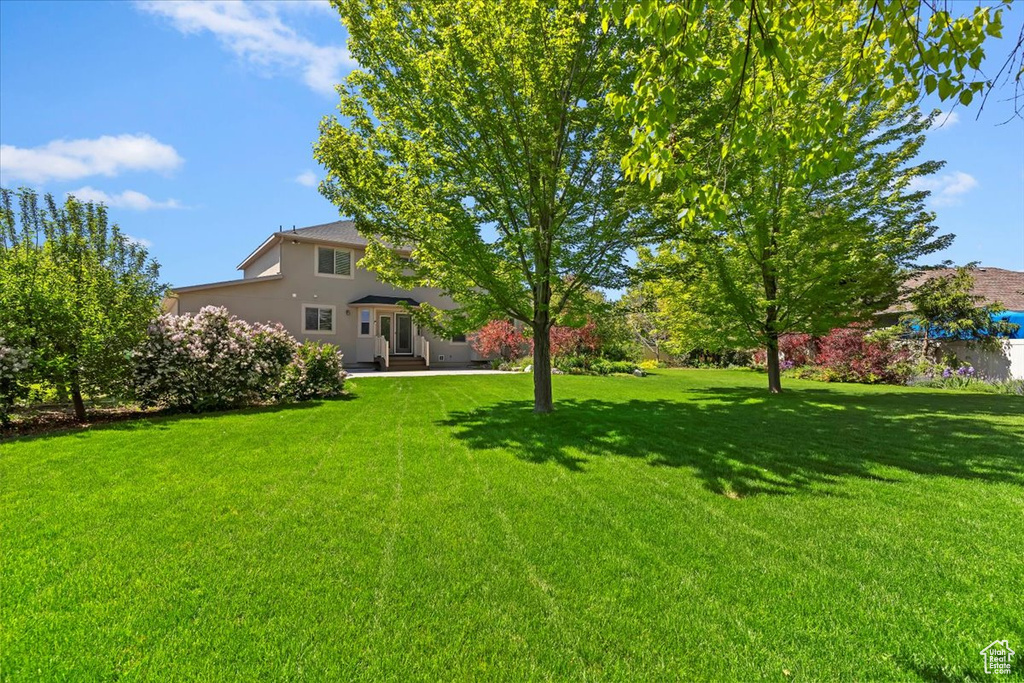 View of grassy yard