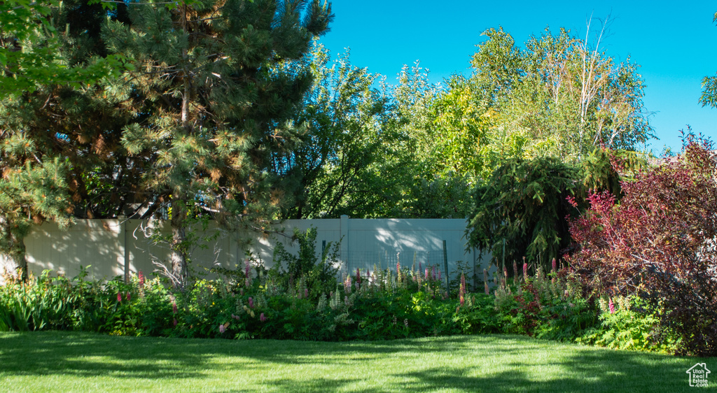View of green lawn