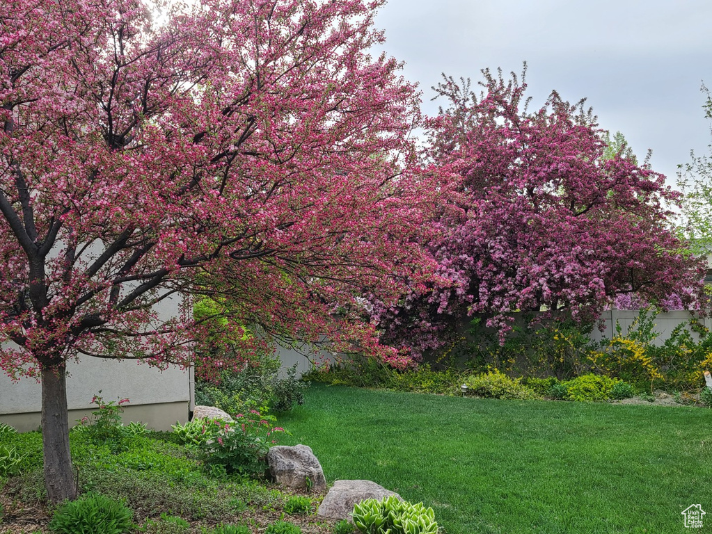 View of green lawn