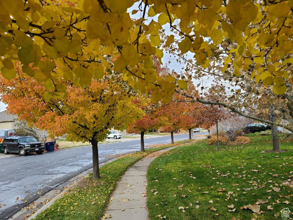 View of asphalt street with sidewalks and curbs