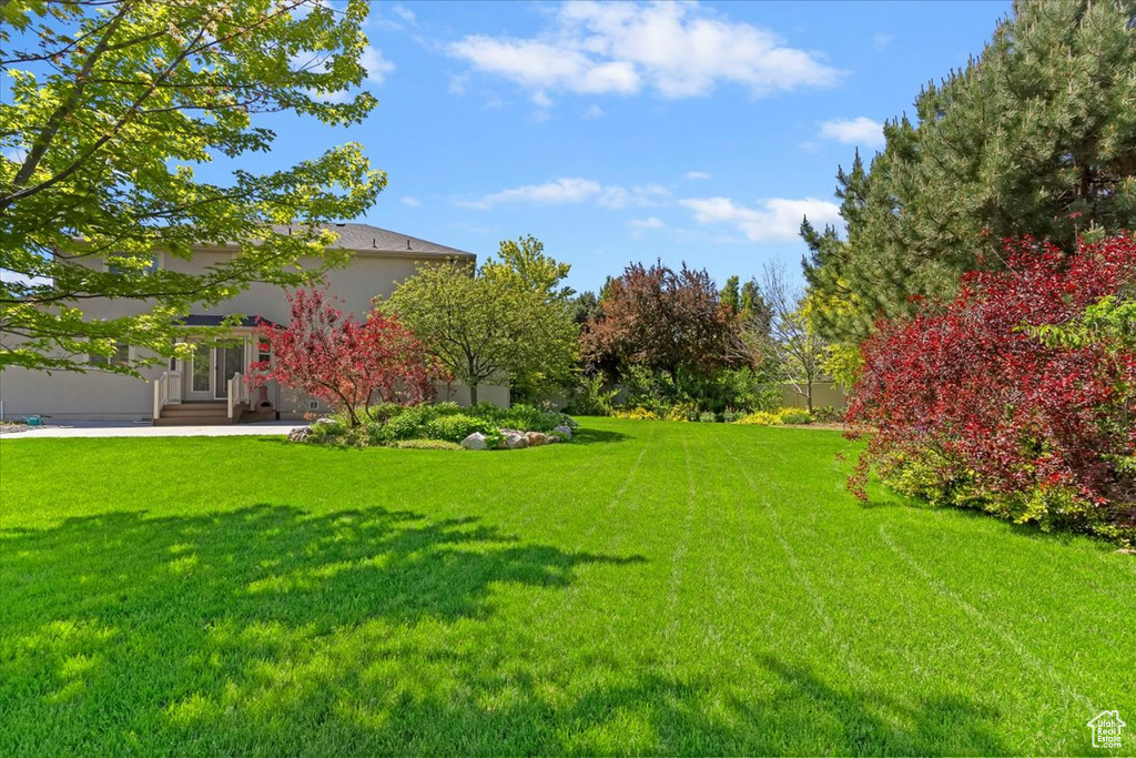 View of grassy yard featuring entry steps