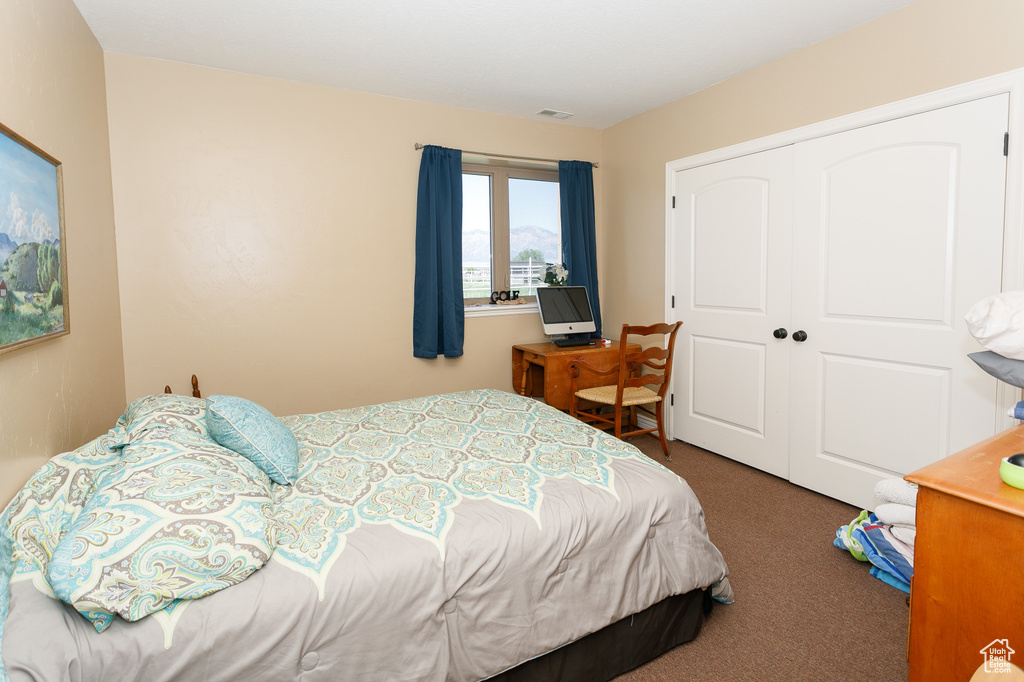 Carpeted bedroom featuring a closet