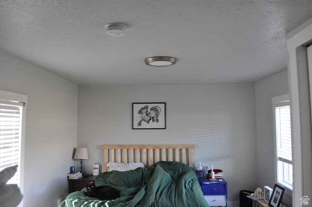 Bedroom with a textured ceiling