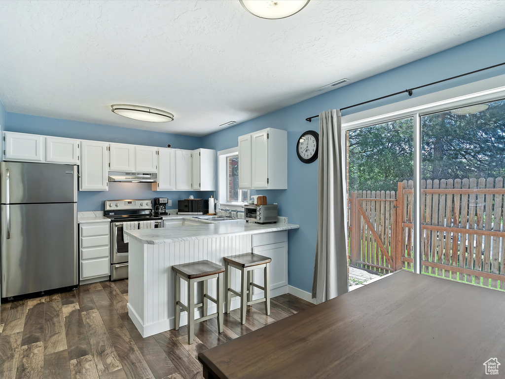 Kitchen featuring stainless steel appliances, under cabinet range hood, a peninsula, dark wood-style flooring, and white cabinetry