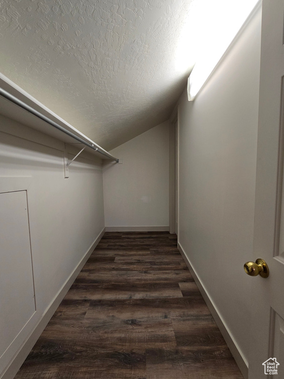 Walk in closet featuring lofted ceiling and dark wood-style floors