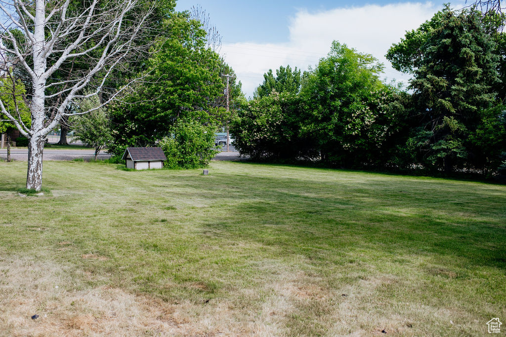 View of grassy yard