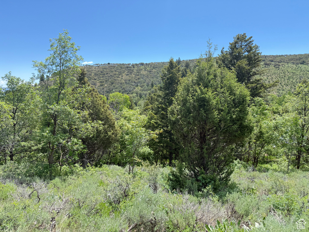 View of wooded area