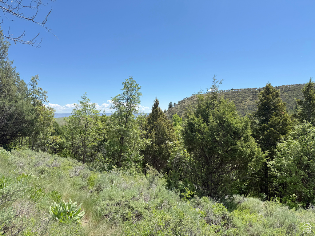View of woods