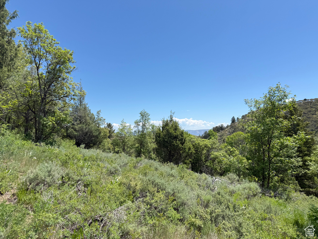 View of wooded area