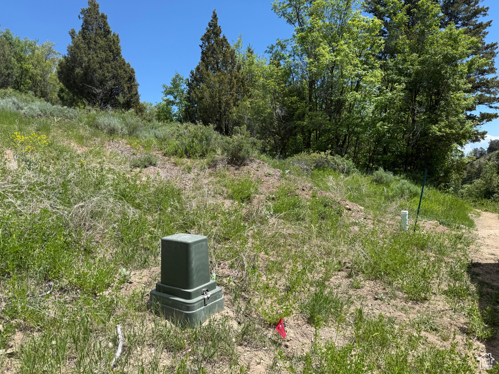 View of undeveloped land