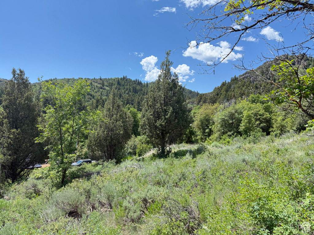 View of wooded area