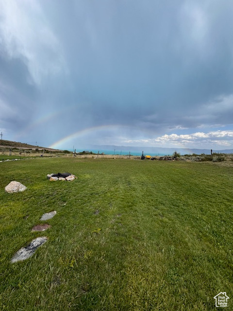 View of grassy yard