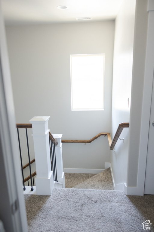 Staircase featuring carpet and baseboards