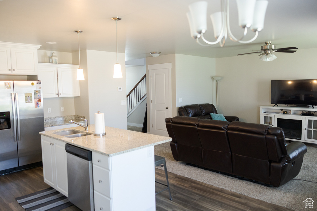 Kitchen featuring stainless steel appliances, a sink, open floor plan, and dark wood-type flooring