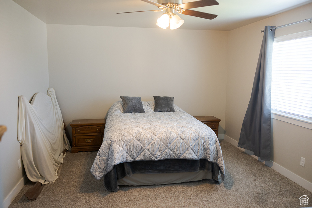 Bedroom with carpet flooring, multiple windows, a ceiling fan, and baseboards