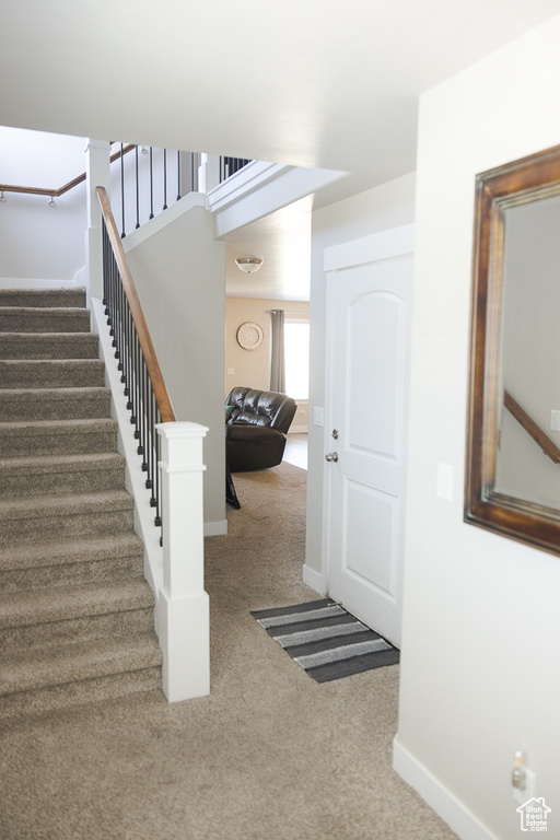 Staircase featuring carpet and baseboards