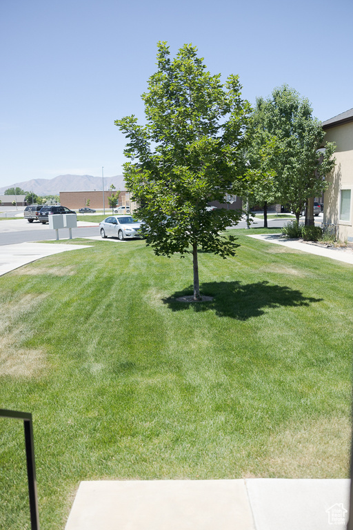 View of grassy yard with a mountain view