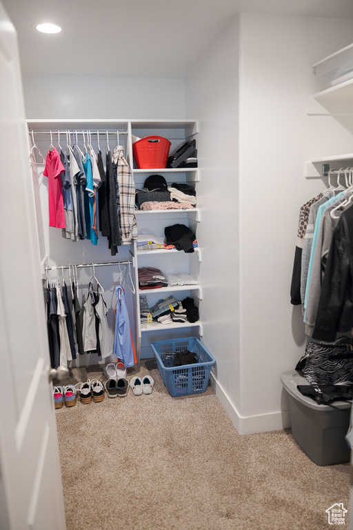 Spacious closet with carpet