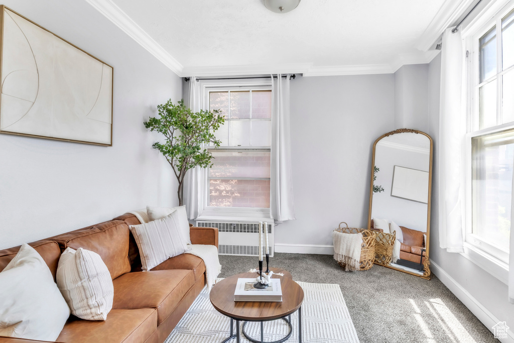 Living room featuring radiator heating unit, carpet, ornamental molding, and baseboards