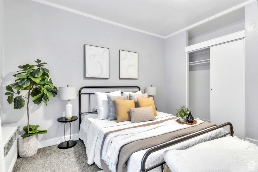 Bedroom featuring carpet floors, baseboards, a closet, and ornamental molding