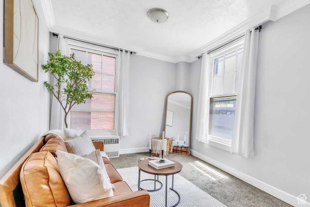 Sitting room featuring radiator heating unit, ornamental molding, carpet flooring, and baseboards