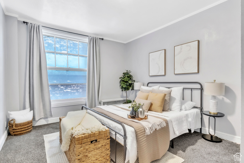 Bedroom with carpet floors, baseboards, and ornamental molding
