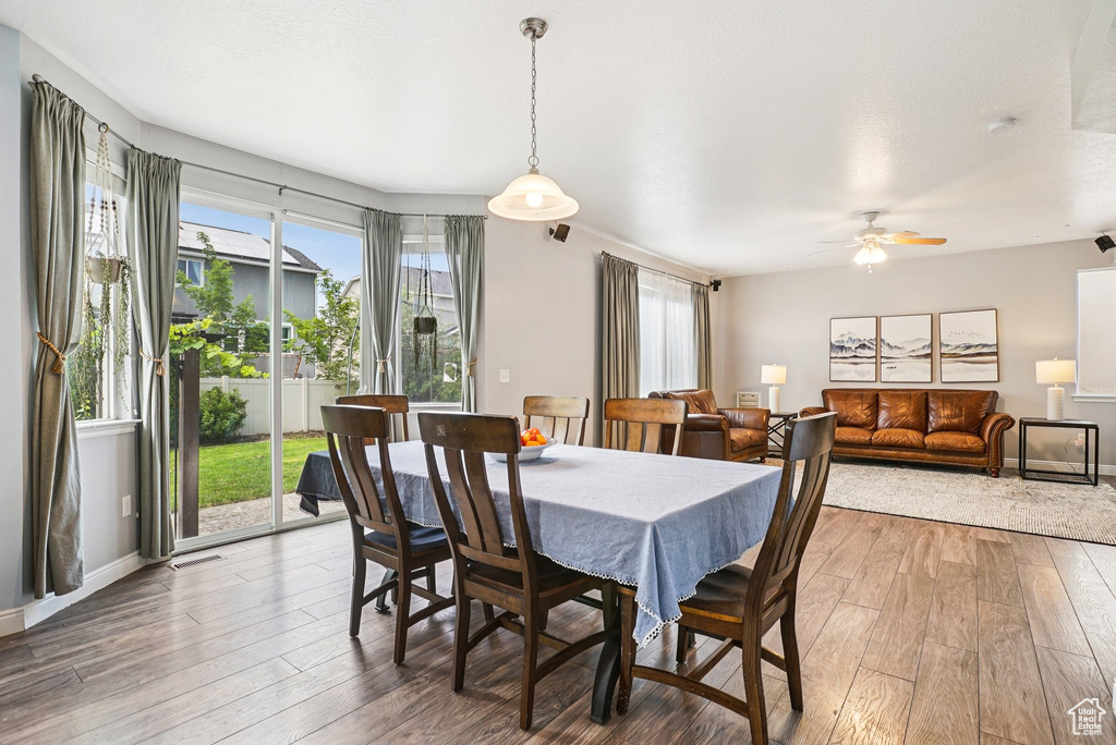 Dining space featuring hardwood / wood-style floors and a ceiling fan