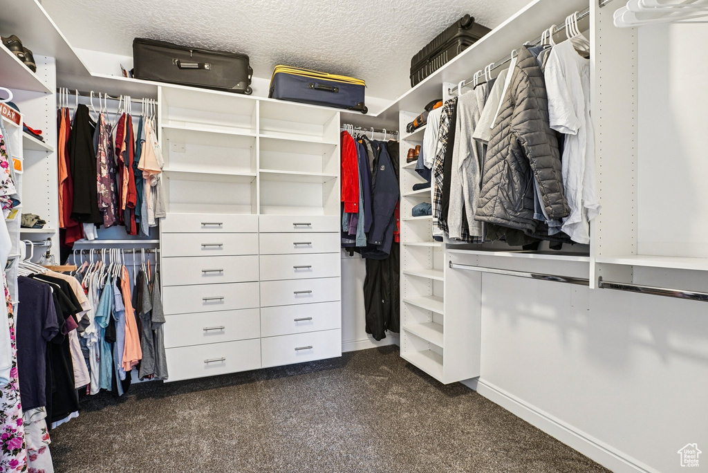 Spacious closet featuring dark colored carpet