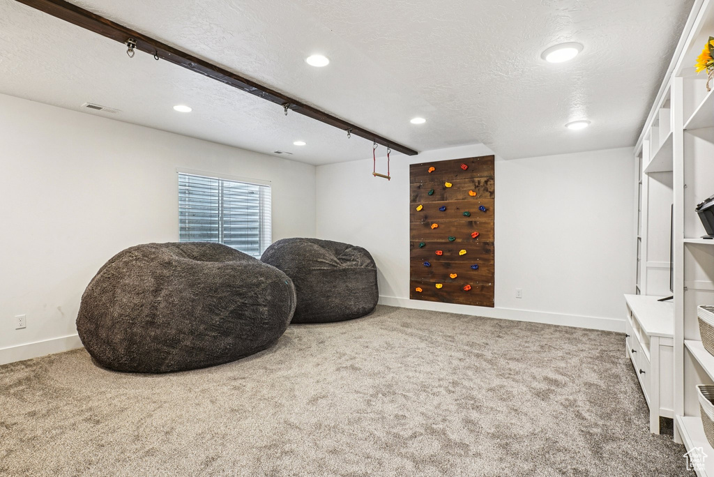 Living area with carpet, recessed lighting, and a textured ceiling