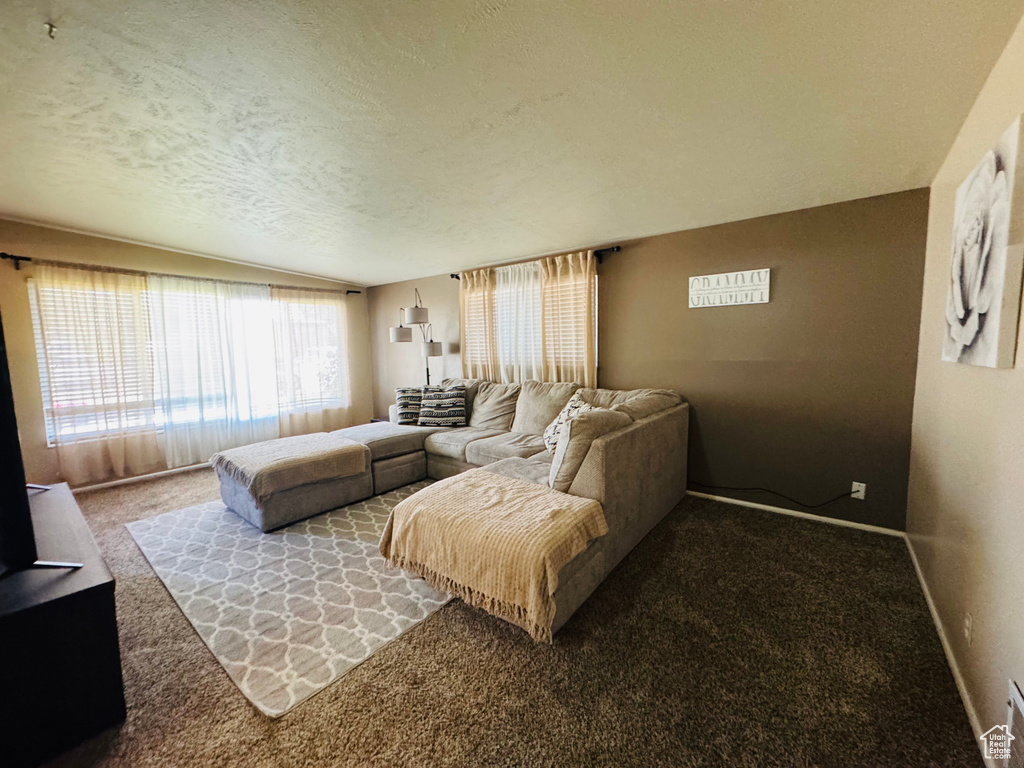 Carpeted living room featuring a textured ceiling and baseboards