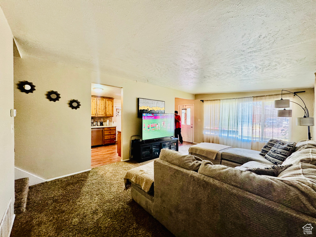 Living room with light colored carpet, a textured ceiling, and baseboards