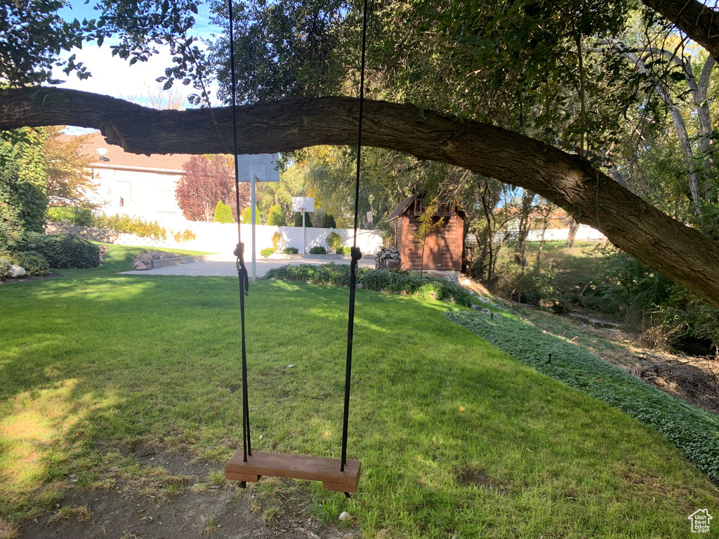 View of grassy yard