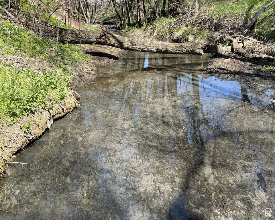 Water view