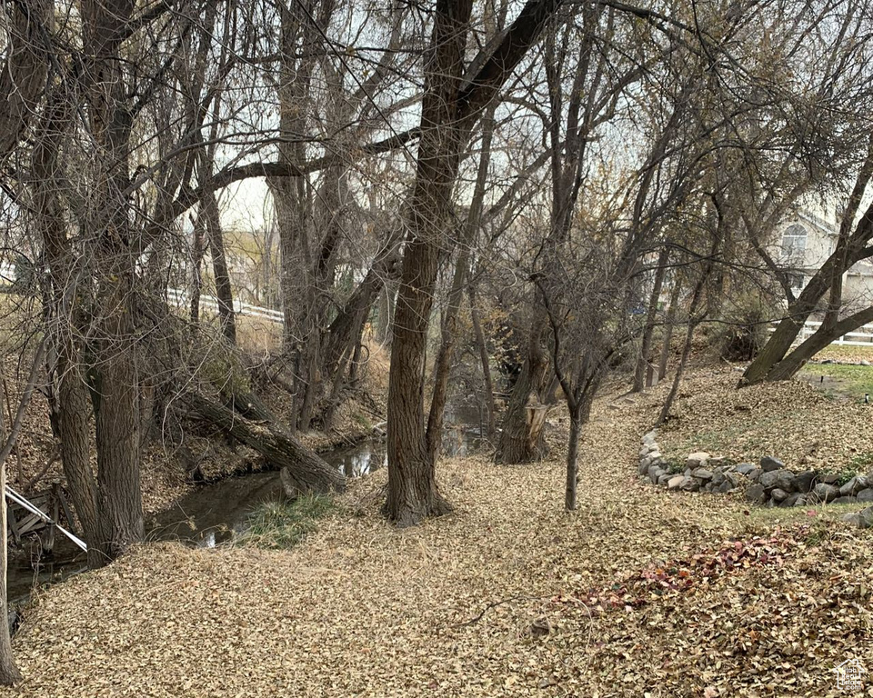 View of nature