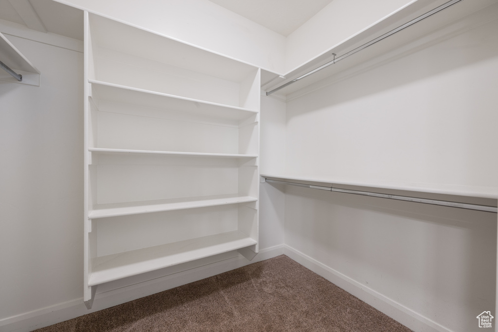 Walk in closet featuring carpet