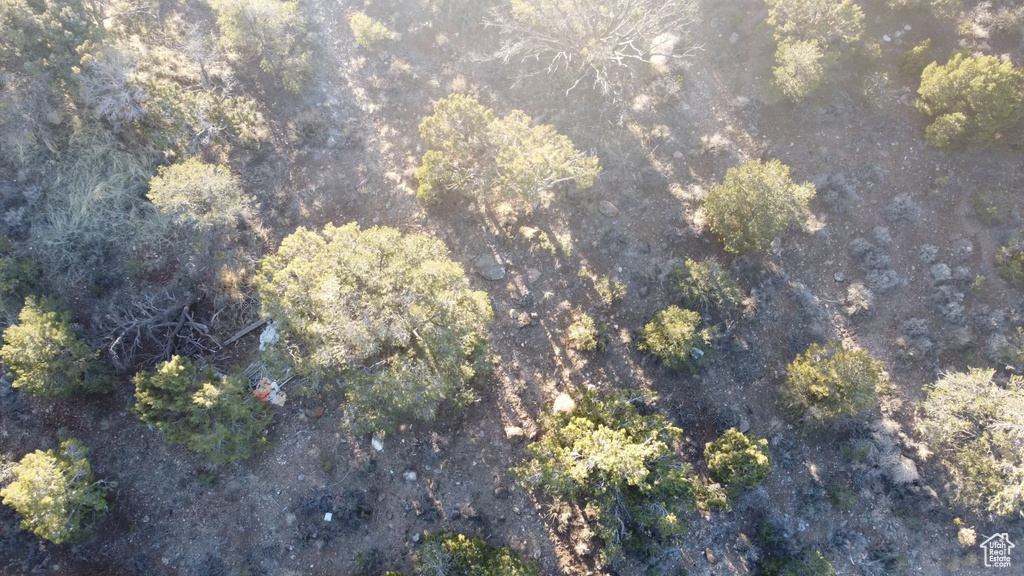 Aerial view of property\'s location