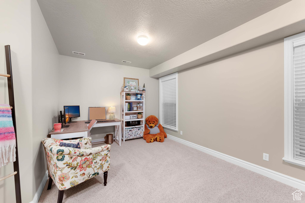 Carpeted home office featuring a textured ceiling and baseboards