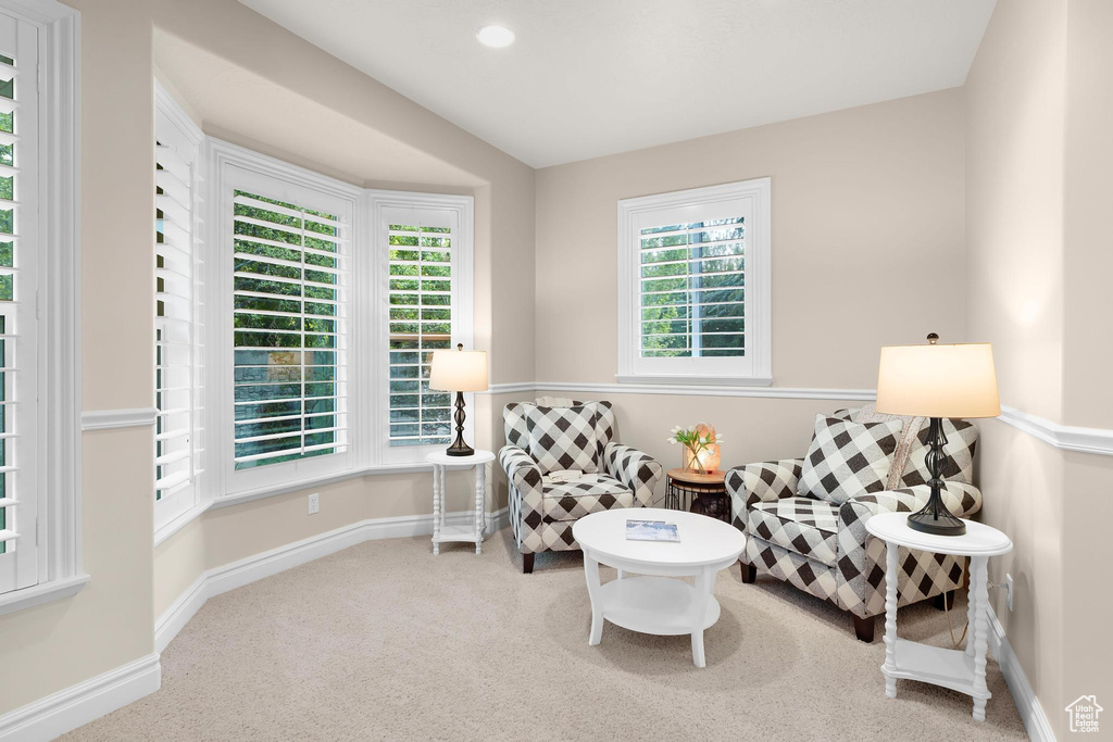 Sitting room featuring carpet and baseboards