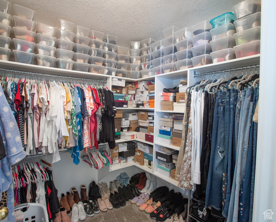 Walk in closet with carpet