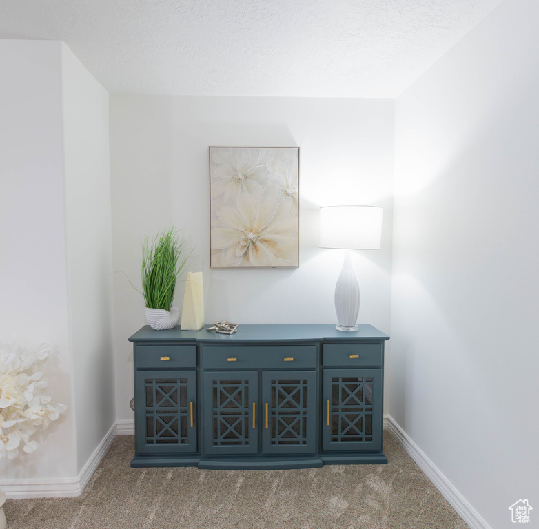 Detailed view of carpet floors and baseboards