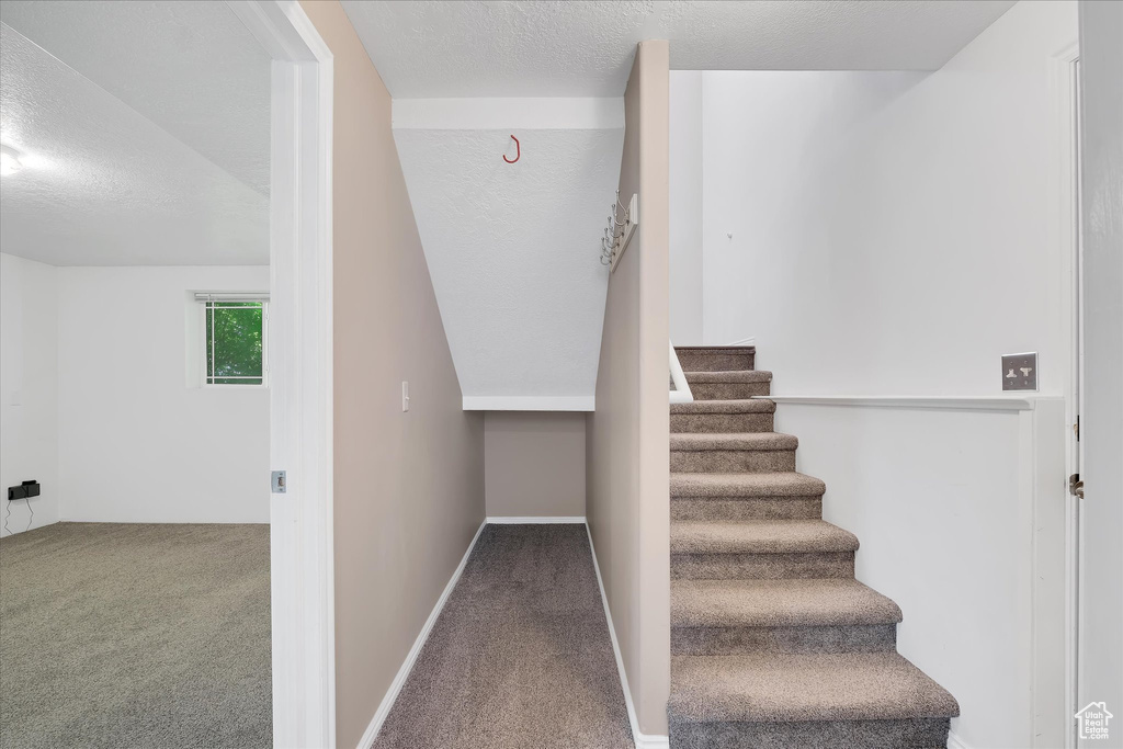 Stairway featuring carpet flooring, a textured ceiling, and baseboards