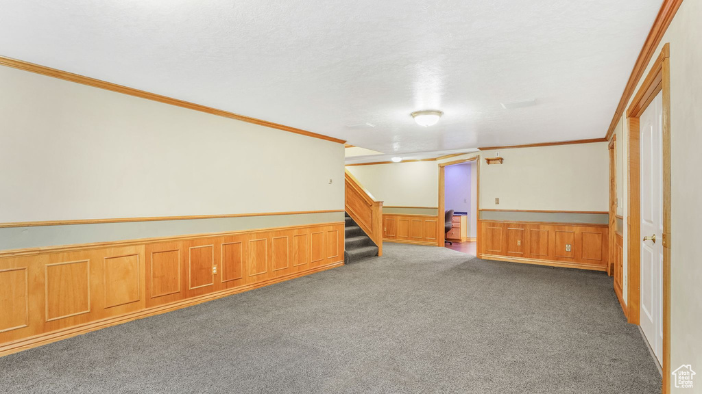Finished basement featuring ornamental molding, wainscoting, carpet floors, and stairs