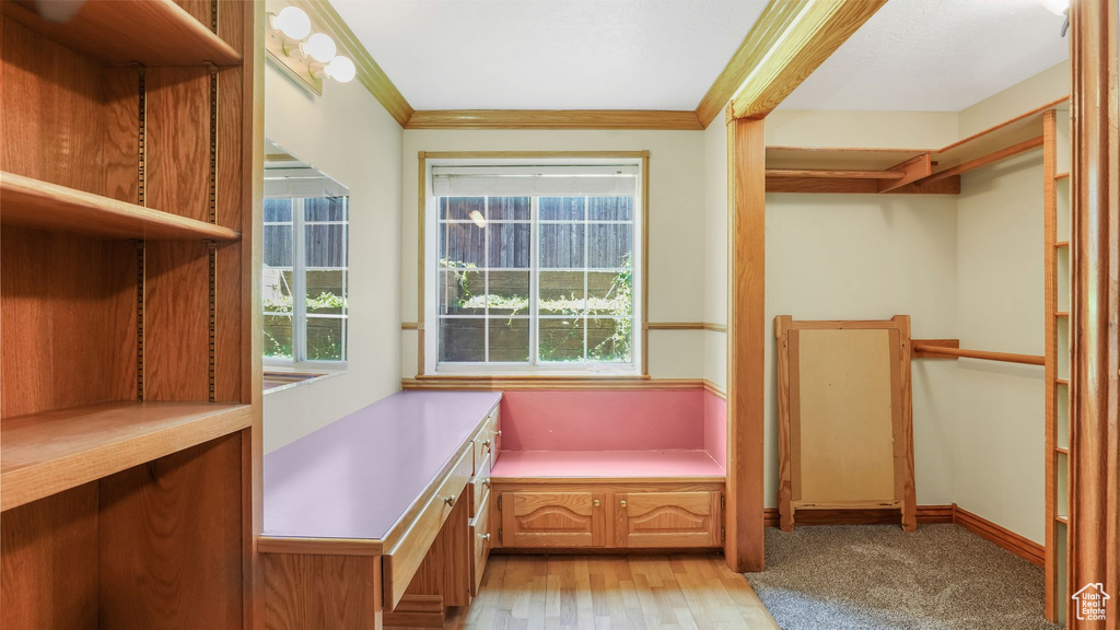 Walk in closet with light wood-style flooring