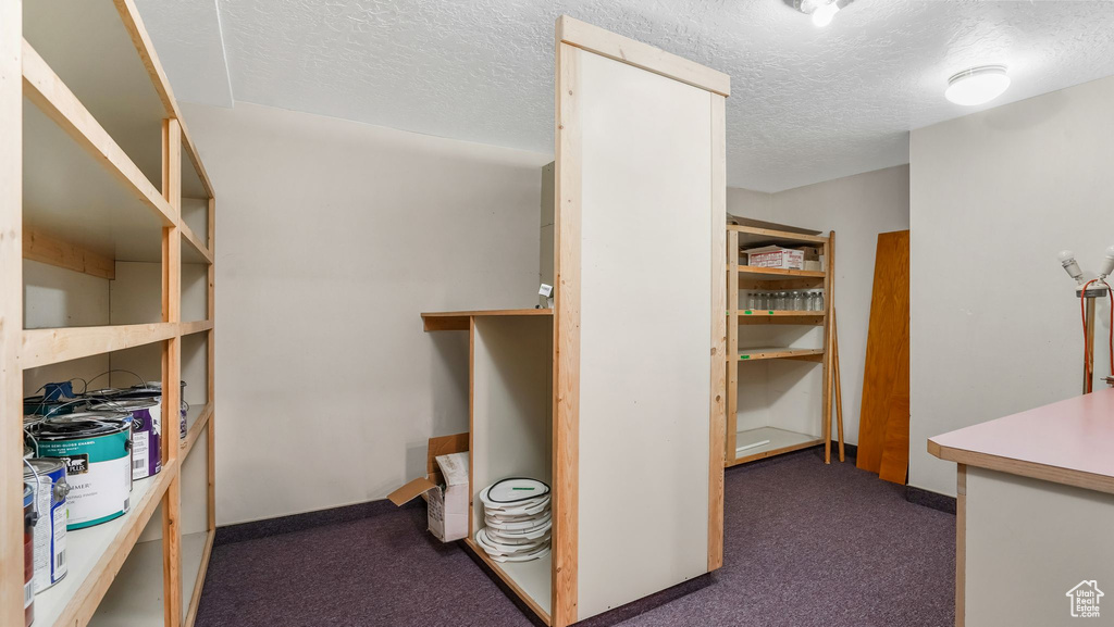 Walk in closet featuring dark colored carpet