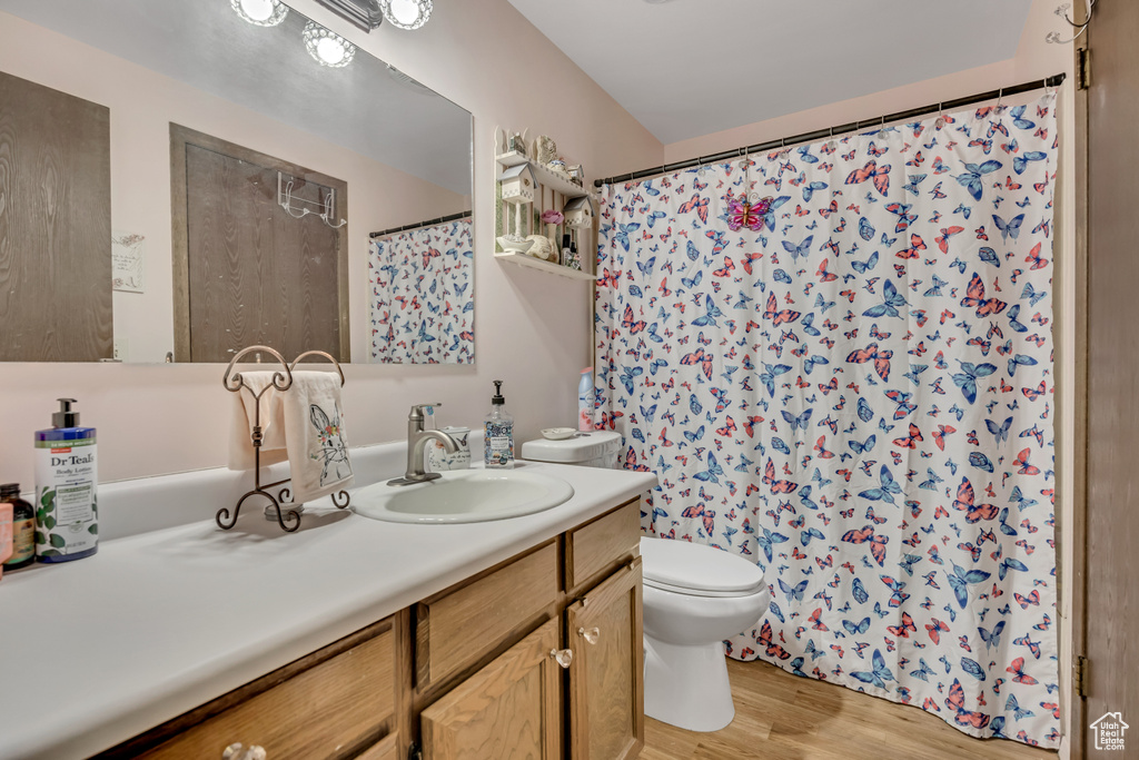 Bathroom featuring vanity, toilet, wood finished floors, and curtained shower