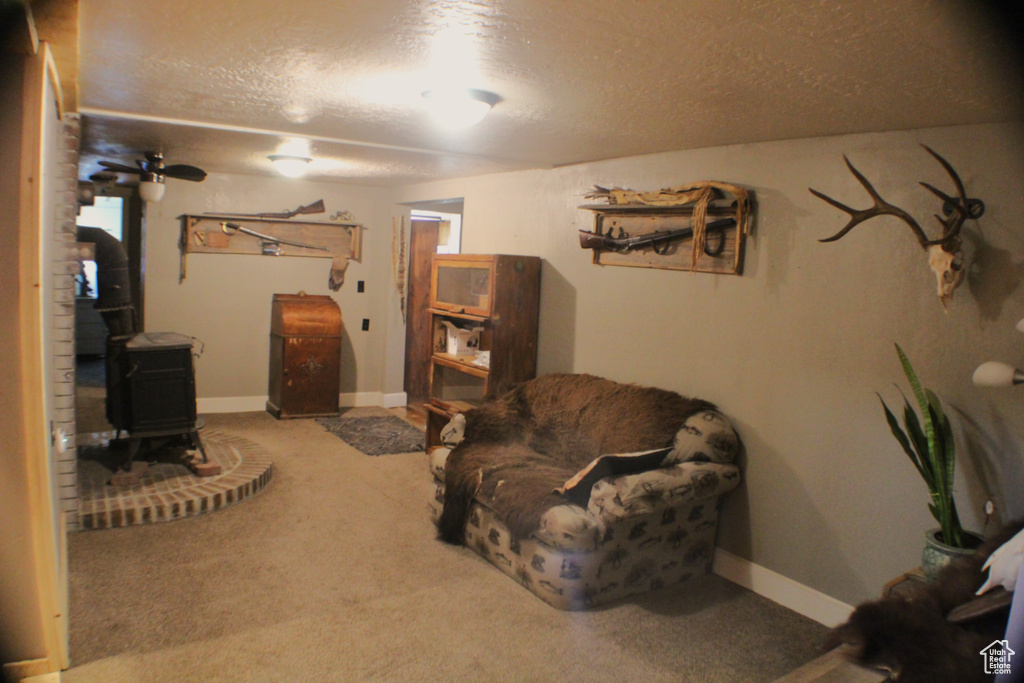 Living area featuring a wood stove, carpet flooring, a textured ceiling, and baseboards