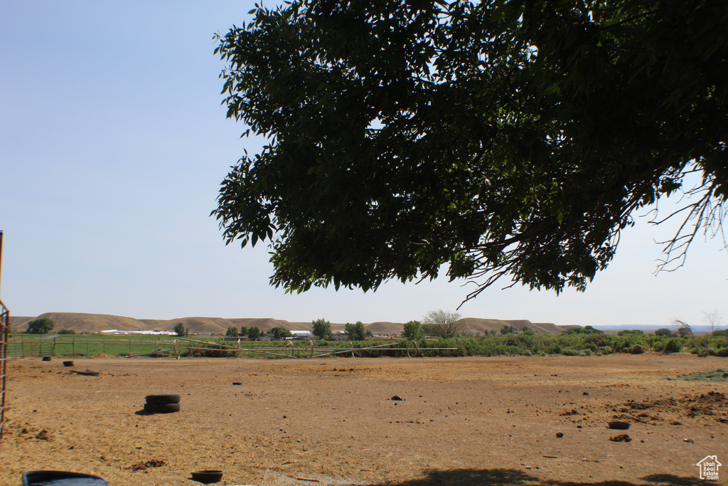 View of yard with a view of rural / pastoral area