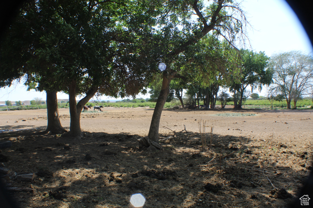 View of local wilderness featuring rural landscape